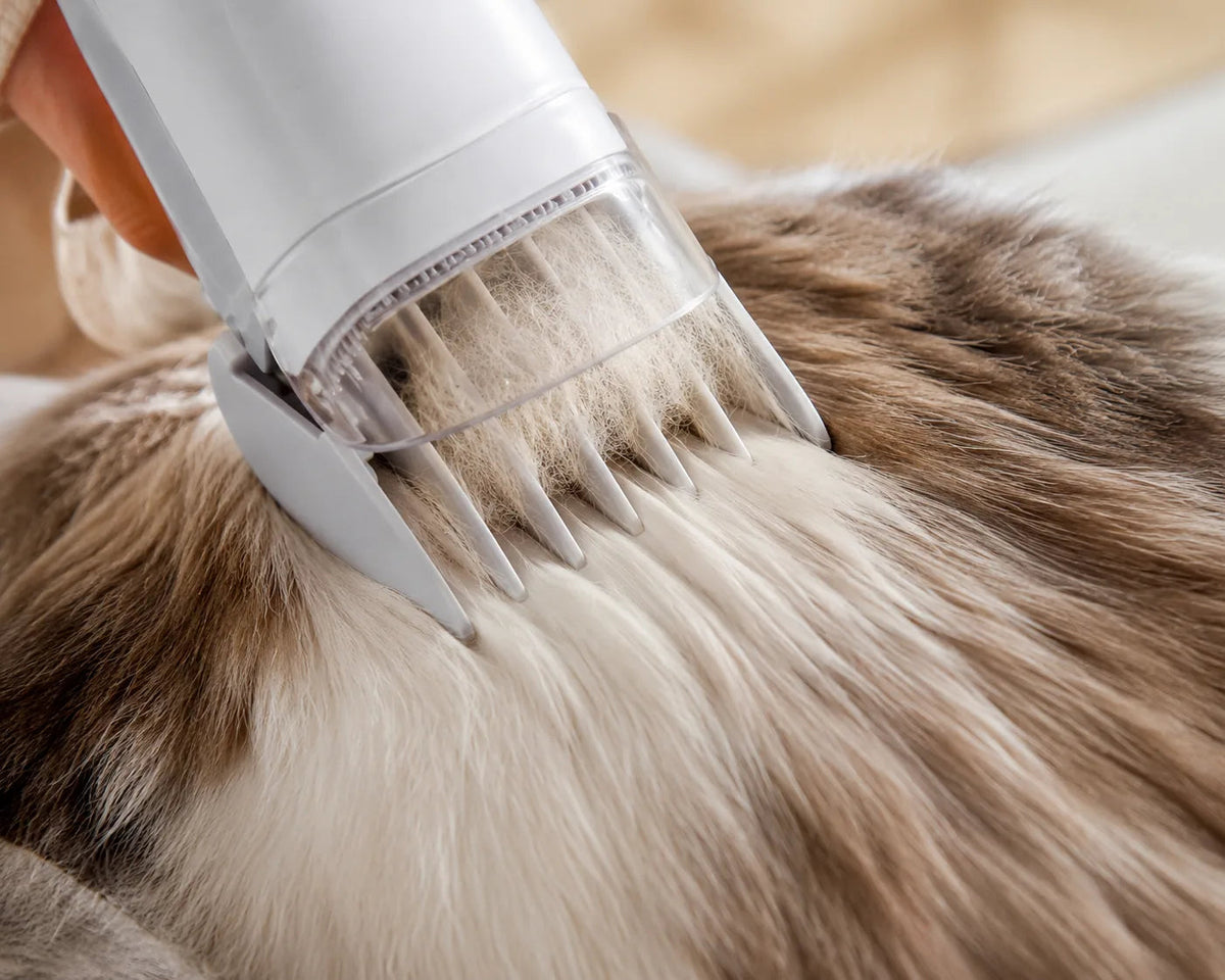 Trim mats and sanitary areas at home