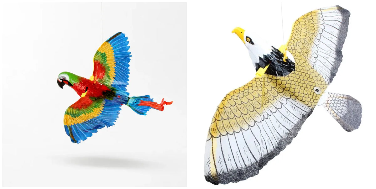 Parrot or eagle — or one of each