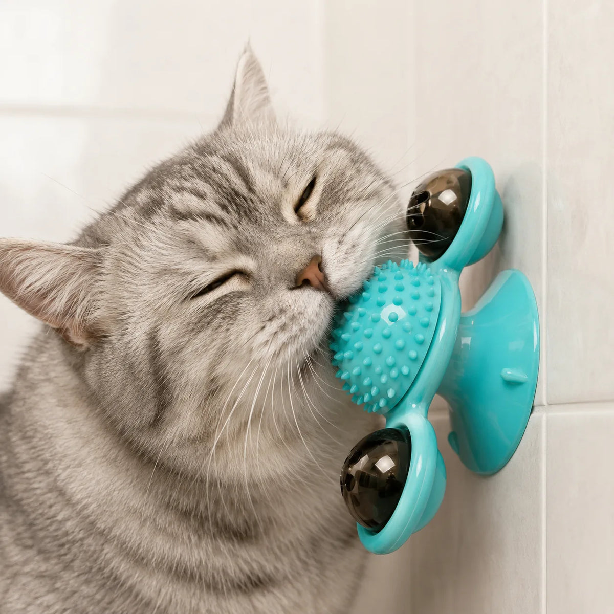 The brushing your cat will actually allow