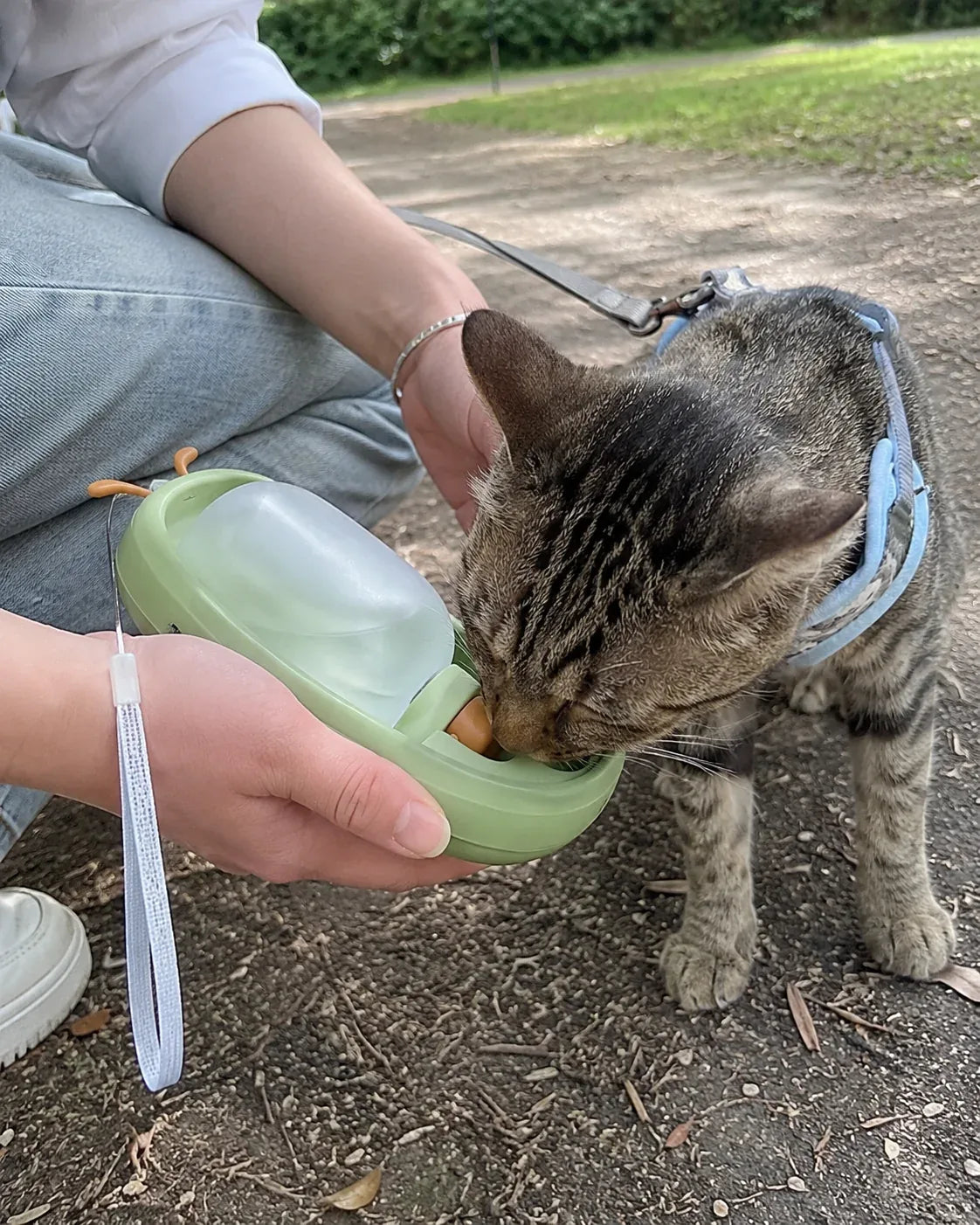 Antler Portable Cat Water Bottle