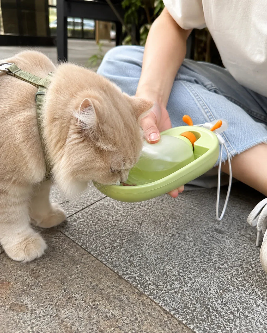 One-hand squeeze pours fresh water for a cat on a walk