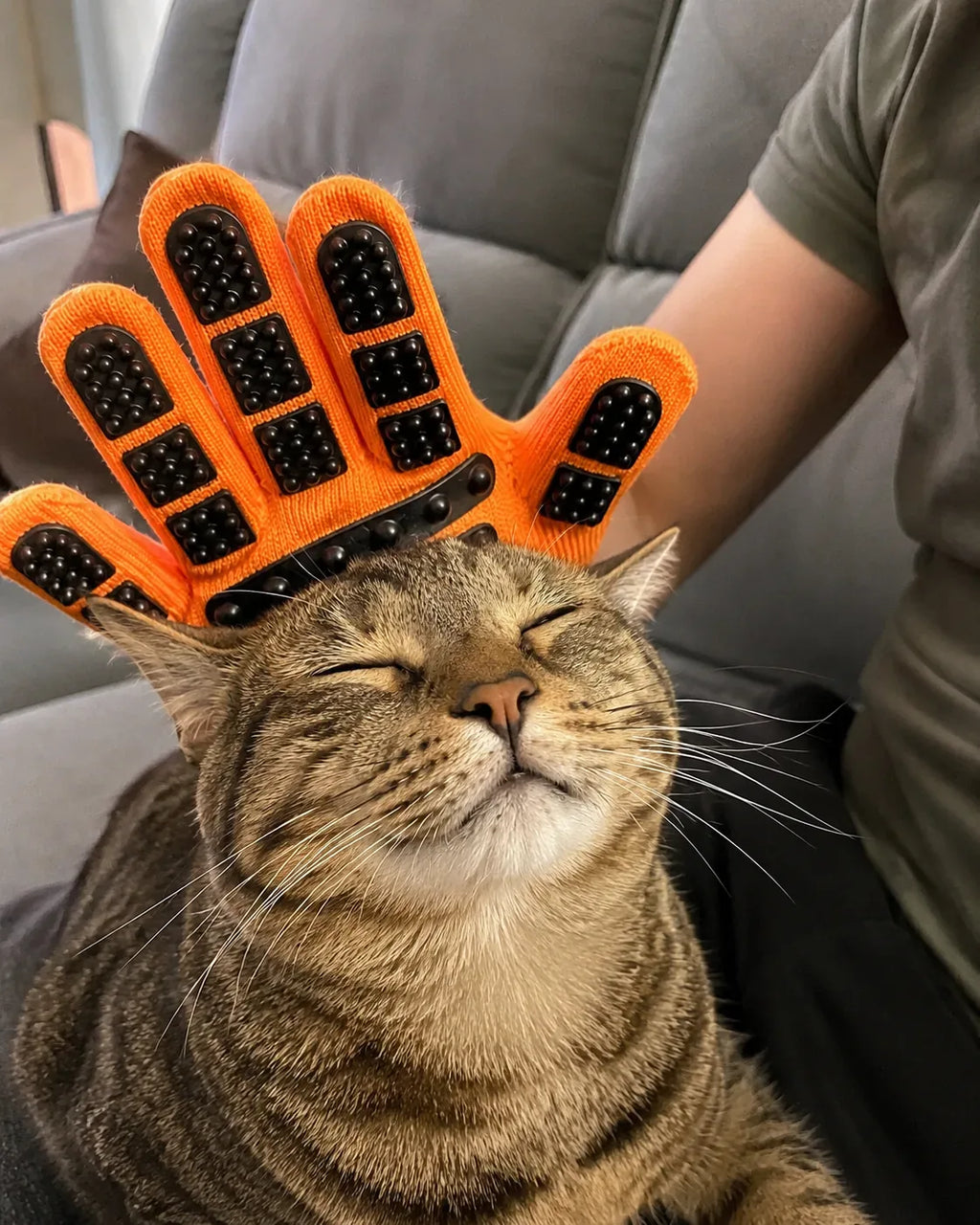 Cat enjoying a massage from the grooming glove