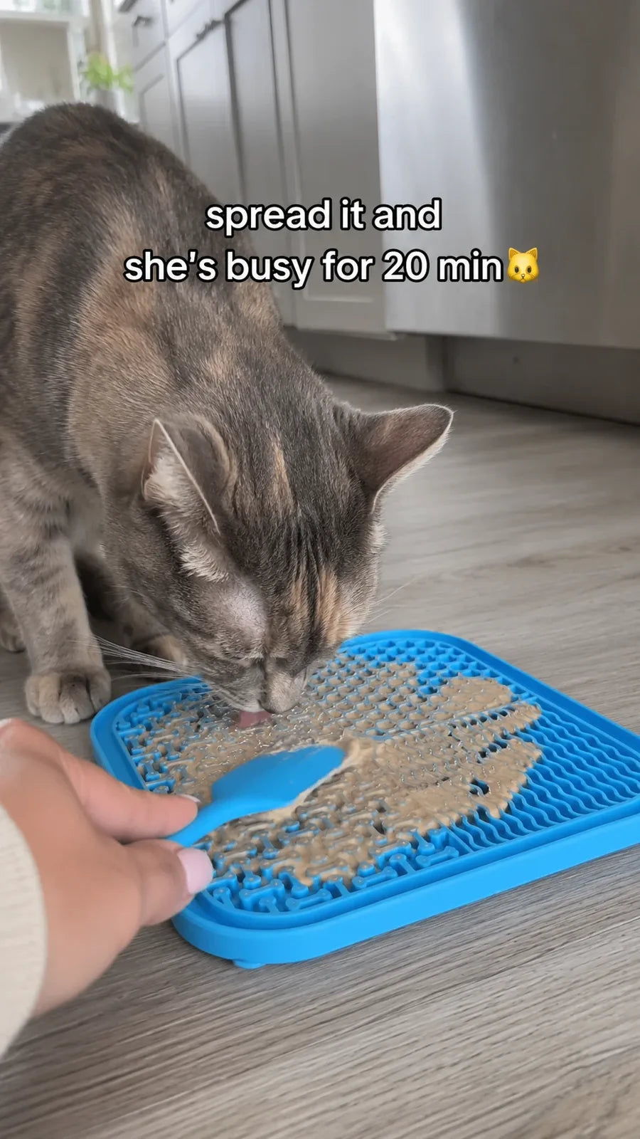 Spread it and she's busy for 20 minutes — cat licking wet food off the blue lick mat