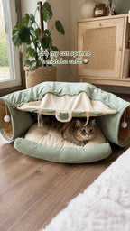 Cat resting under the canopy of the matcha green tunnel sofa bed like a fort