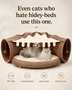 Even cats who hate hidey-beds use this one — cat on the thick cushioned bed of the mocha tunnel sofa, 49 inches wide, open and airy with built-in toys