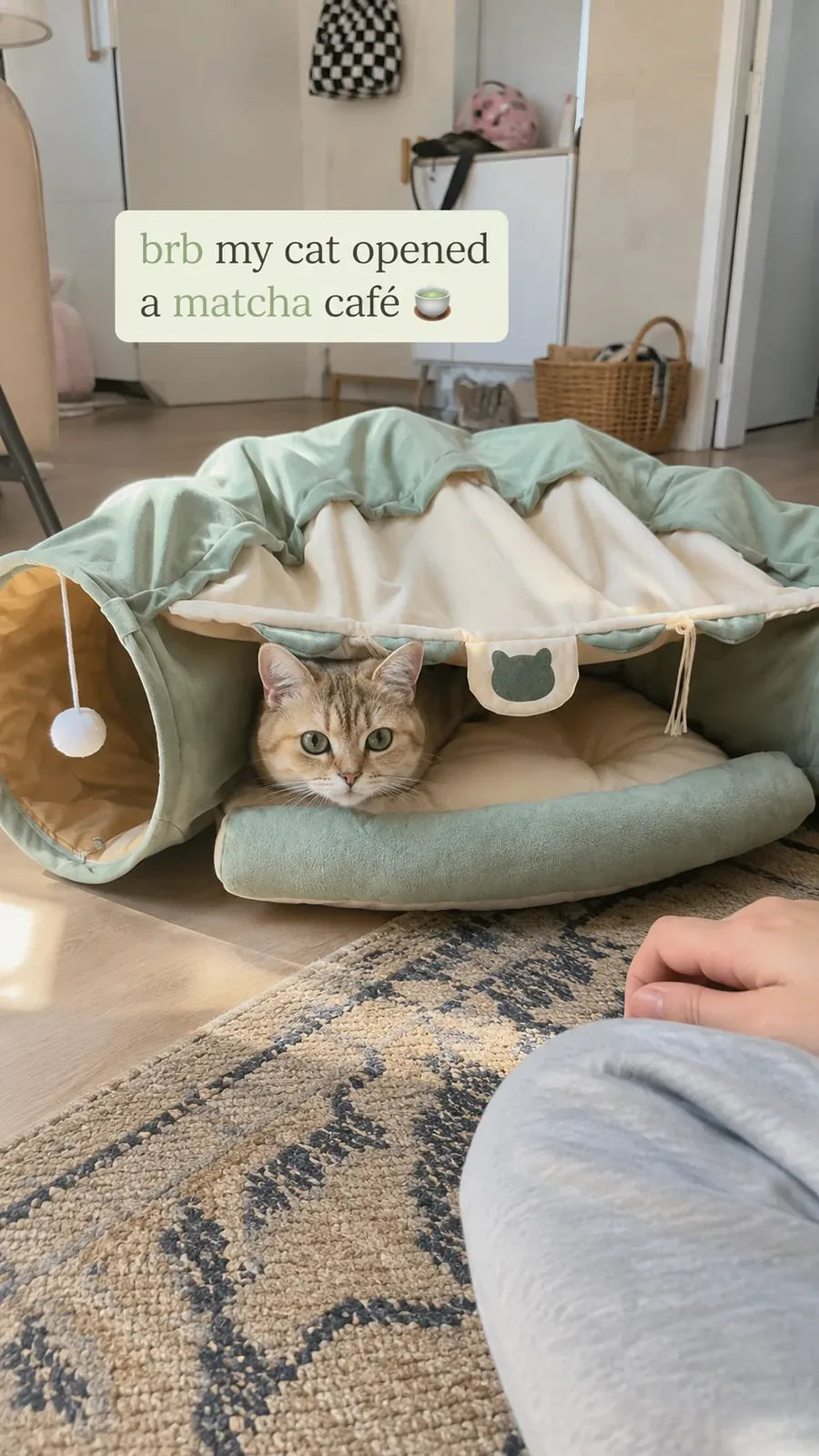 Cat Tunnel Sofa Bed — Double Tunnel Cave with Canopy & Cushion