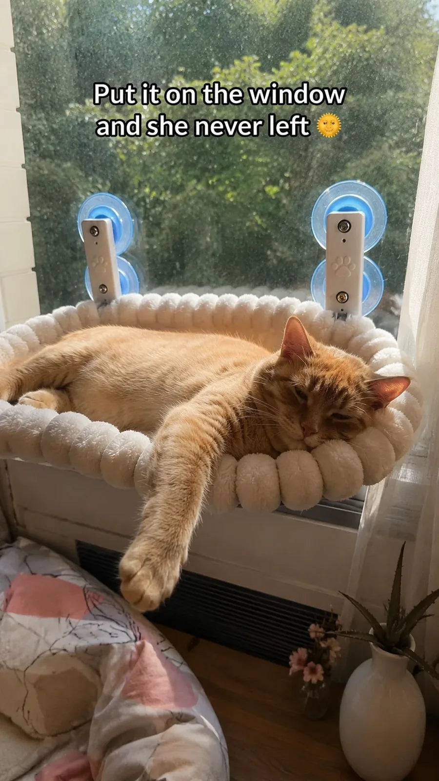 Empty cream cat window hammock mounted on a wall, studio shot