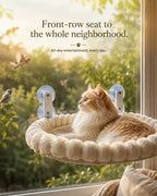 Front-row seat to the whole neighborhood — cat watching birds from the sunny window hammock