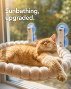 Sunbathing, upgraded — ginger cat stretched out asleep in the sunlit window hammock
