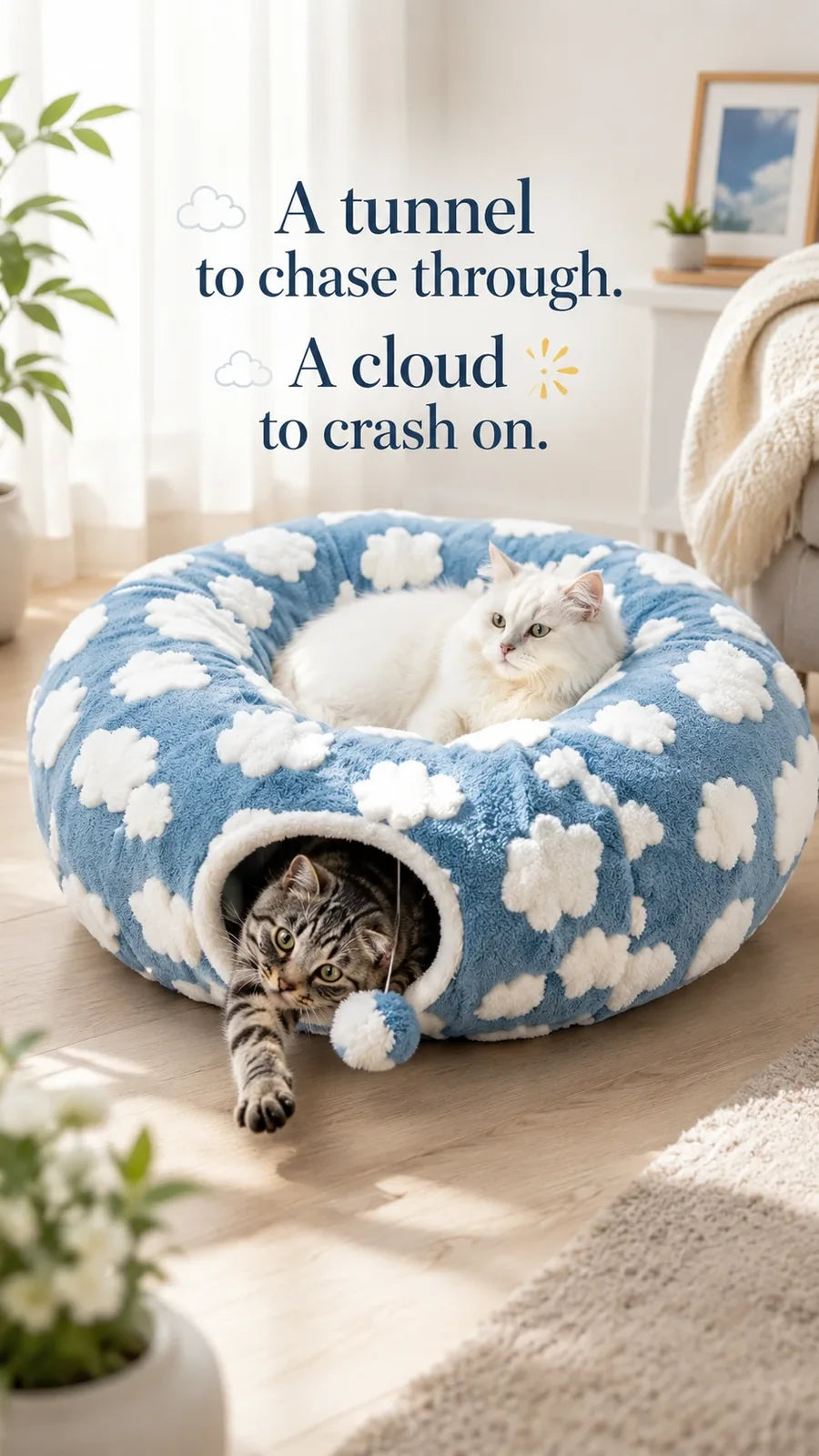 A tunnel to chase through, a cloud to crash on — cats using both modes of the cloud bed