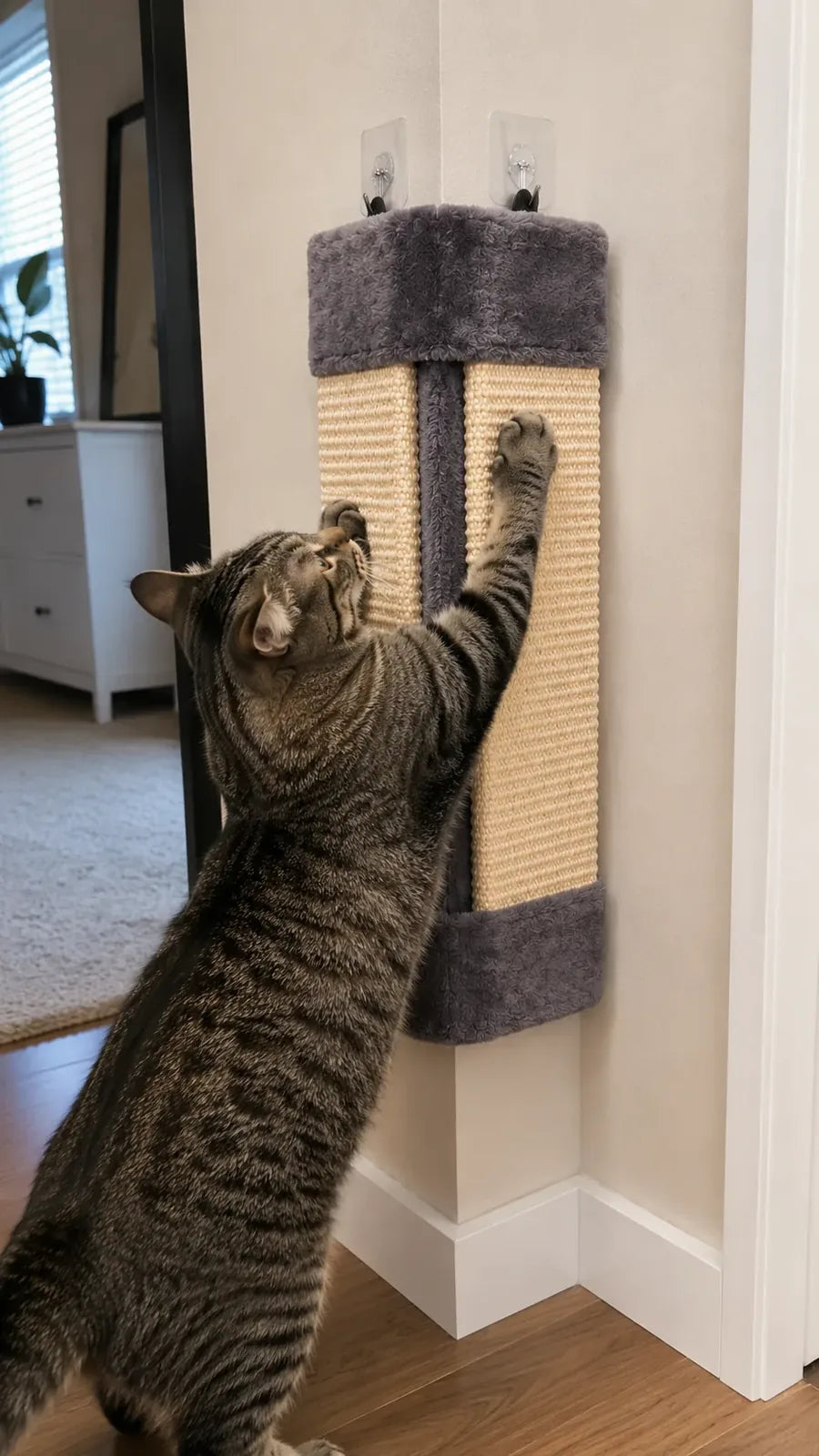 Sisal cats actually commit to
