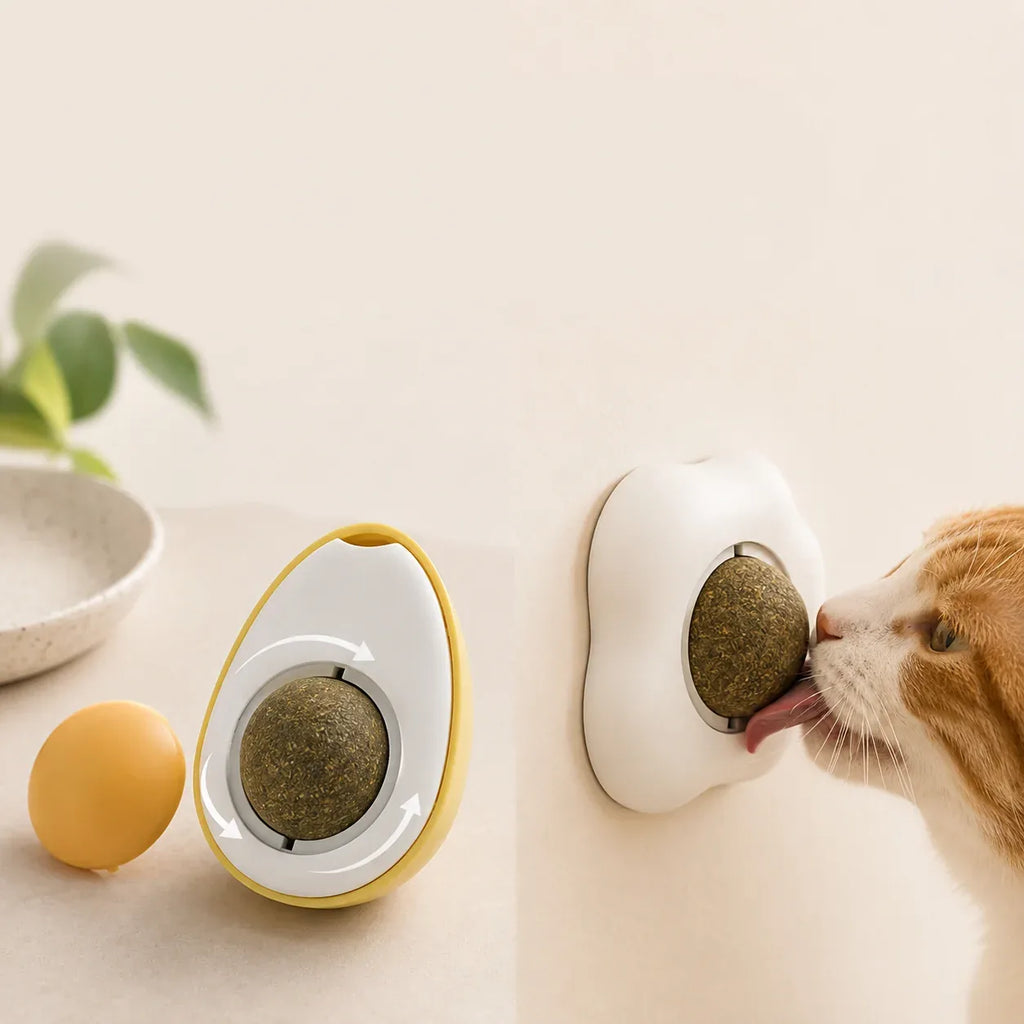 Cat taking a first taste of the egg catnip wall ball