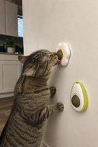 Cat licking the egg catnip ball at nose height