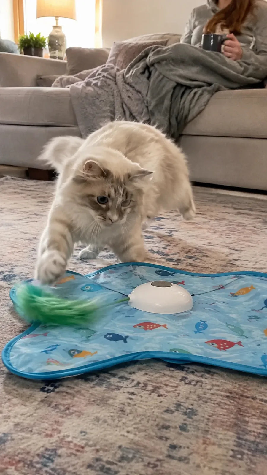 Ragdoll cat ambushing the soft feather hunt mat