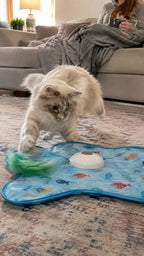 Ragdoll cat ambushing the soft feather hunt mat