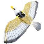 Eagle flying cat toy hanging with wings spread