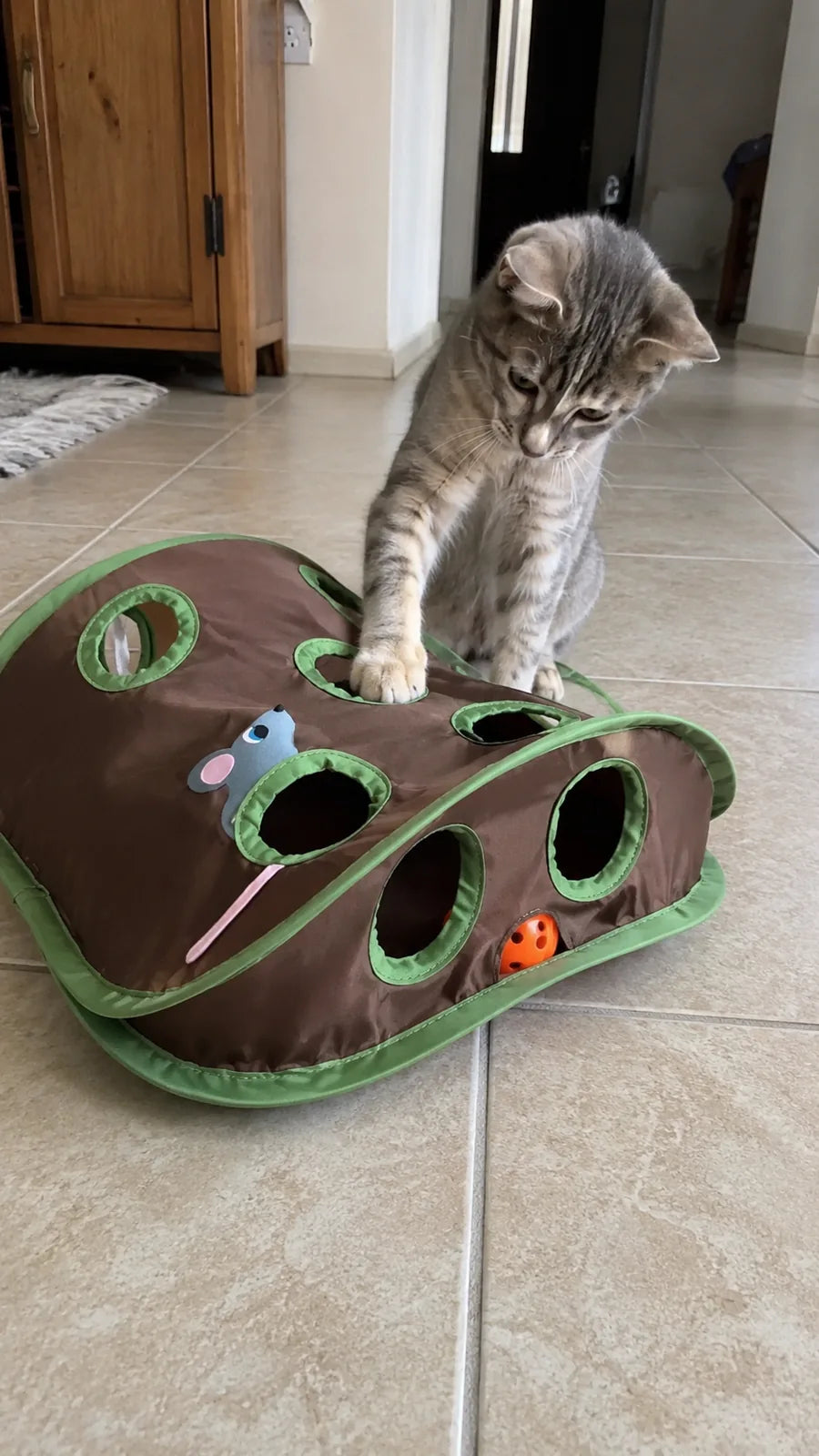 Kitten pouncing on the 9-hole mouse hunt board