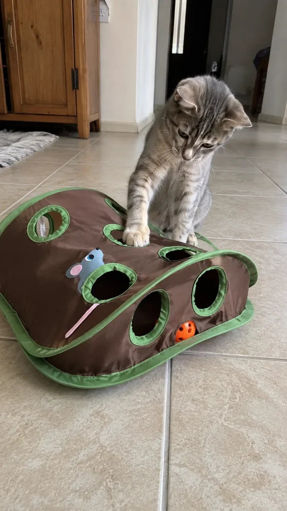 Slow-Down Set — Puzzle Feeder, Lick Mat & 2 Hunt Toys