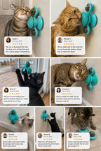 Windmill Cat Toy with Suction Cup — Spinning Teeth-Brush Toy