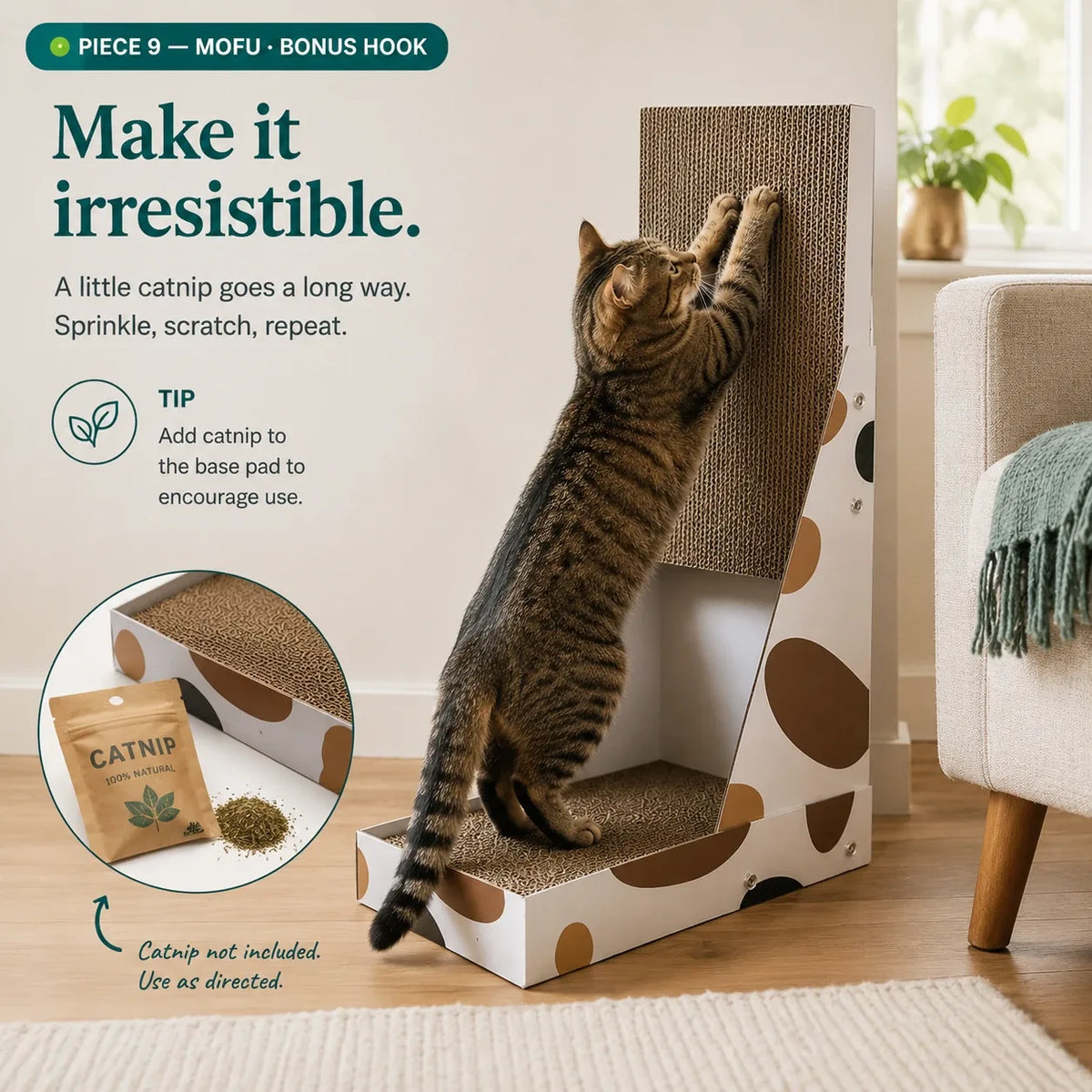 Cat scratching the vertical board sprinkled with catnip