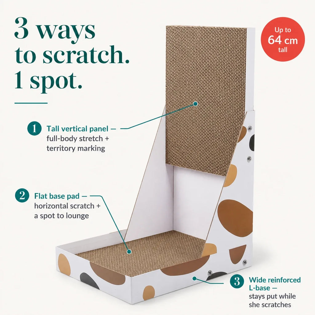 Cat lounging on the horizontal base of the L-shape scratcher