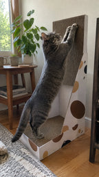 Grey cat shredding the corrugated cardboard of the vertical scratcher