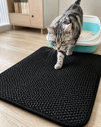 Cat stepping off the litter mat beside the litter box