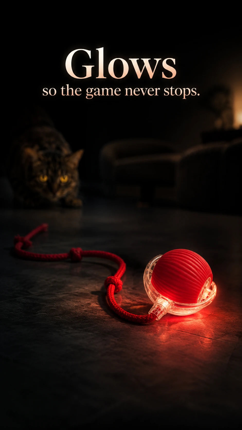 Glows so the game never stops — motorized cat ball with LED at night