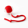 Red motorized cat ball with detachable rope tail — self-rolling interactive toy in its clear shell