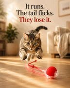 It runs, the tail flicks — cat mid-pounce chasing the self-rolling red ball