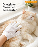 One glove, clean cat, zero water — hand wiping a relaxed ginger cat with the waterless glove