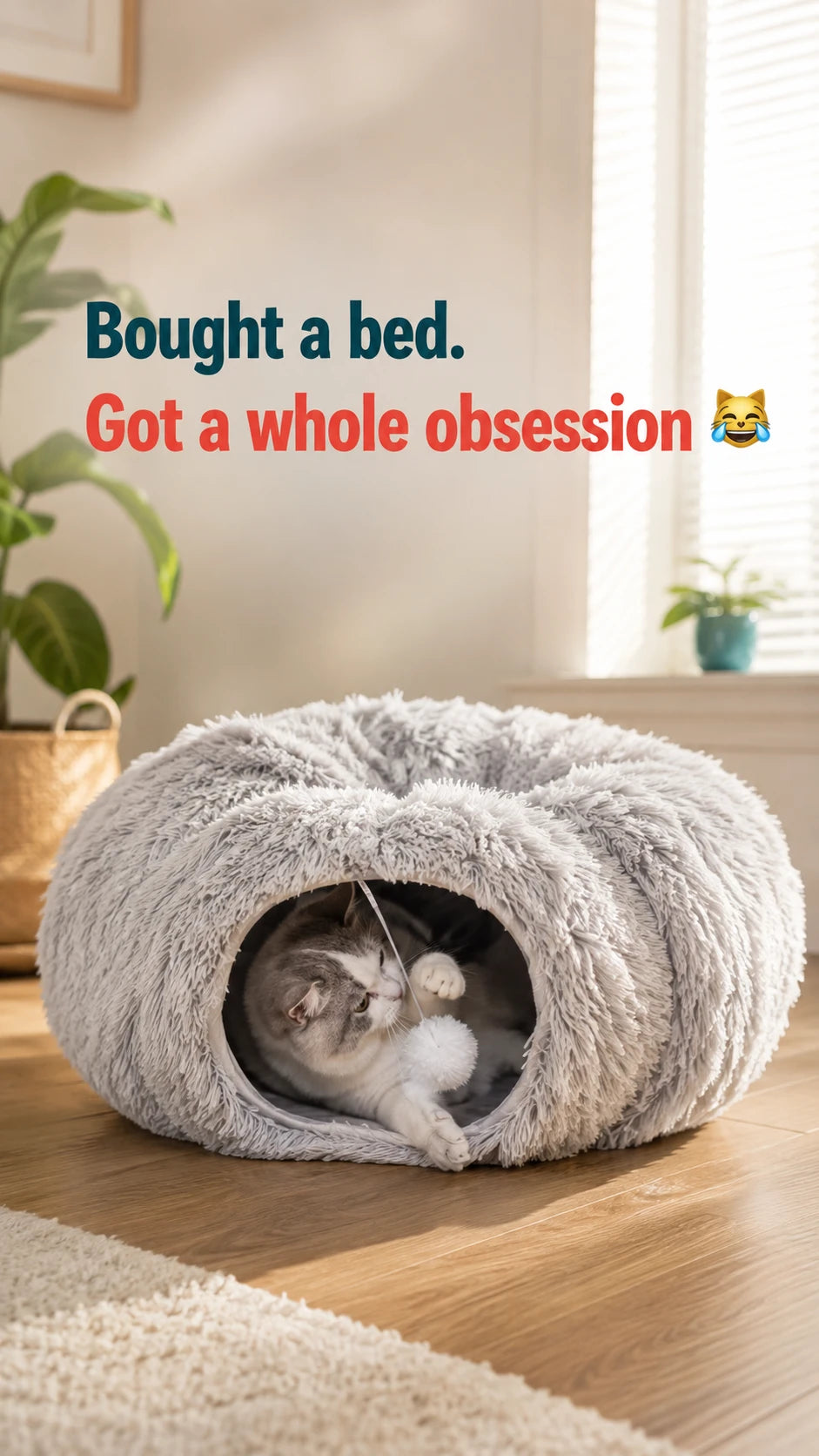 Bought a bed, got a whole obsession — cat playing with the pom-pom in the grey donut bed