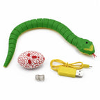 Green remote control snake with red egg handset, USB cable and connector