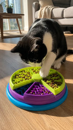 Slow-Down Set — Puzzle Feeder, Lick Mat & 2 Hunt Toys