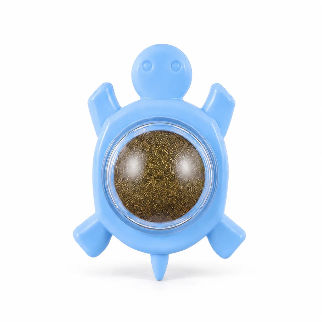 Wall-mounted silvervine catnip ball in blue turtle holder, isolated