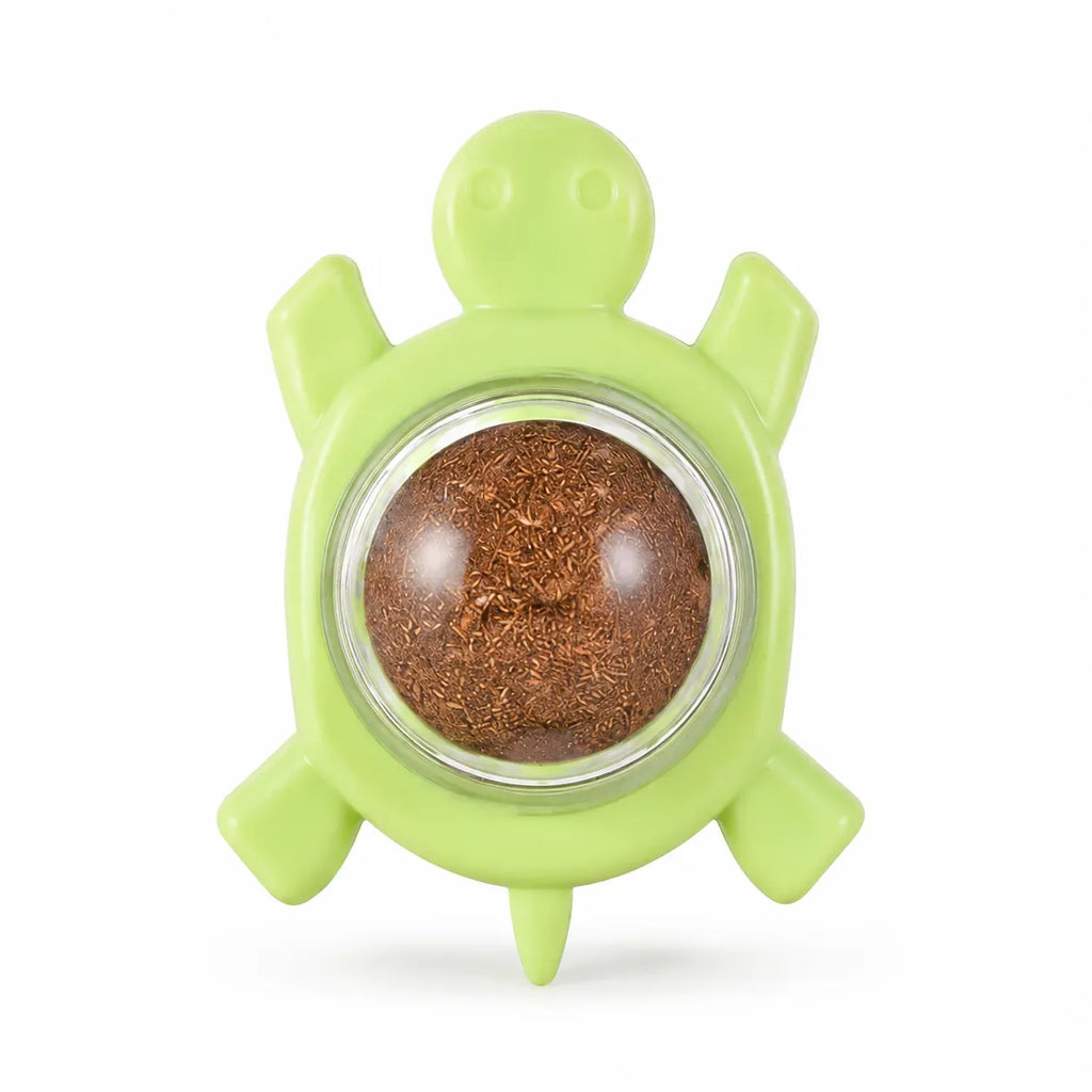 Wall-mounted silvervine catnip ball in green turtle holder, isolated