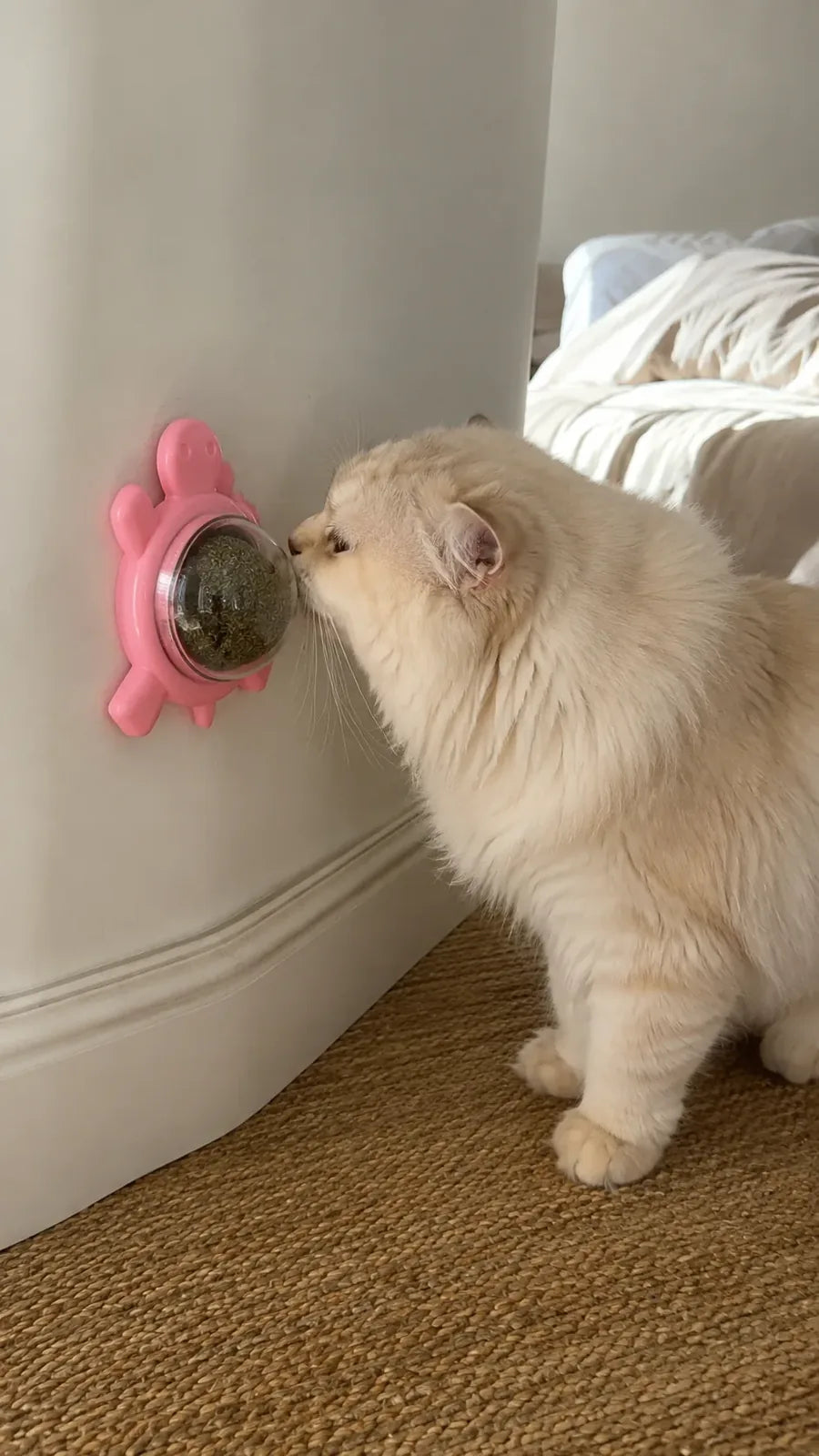 Wall-Mounted Silvervine & Catnip Ball for Cats