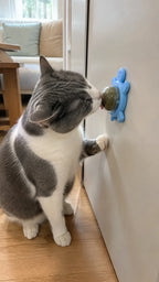 Catnip turtle ball mounted on the wall, out of the way