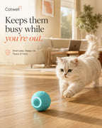 Keeps your cat busy while you're out — smart play for home-alone cats