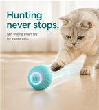 Hunting never stops — self-rolling smart toy for indoor cats