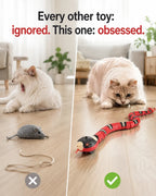 Every other toy ignored, this one obsessed — cat bored by a mouse toy versus locked onto the smart snake