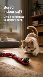 Bored indoor cat? Give it something to actually hunt — cat stalking the electric snake toy