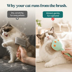 Dry scratchy brushing versus misted gentle grooming with the steam brush