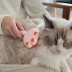Brushing a ragdoll cat with the pink steam grooming brush
