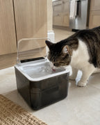 Cat drinking from the Steelspring stainless steel fountain in a bright kitchen
