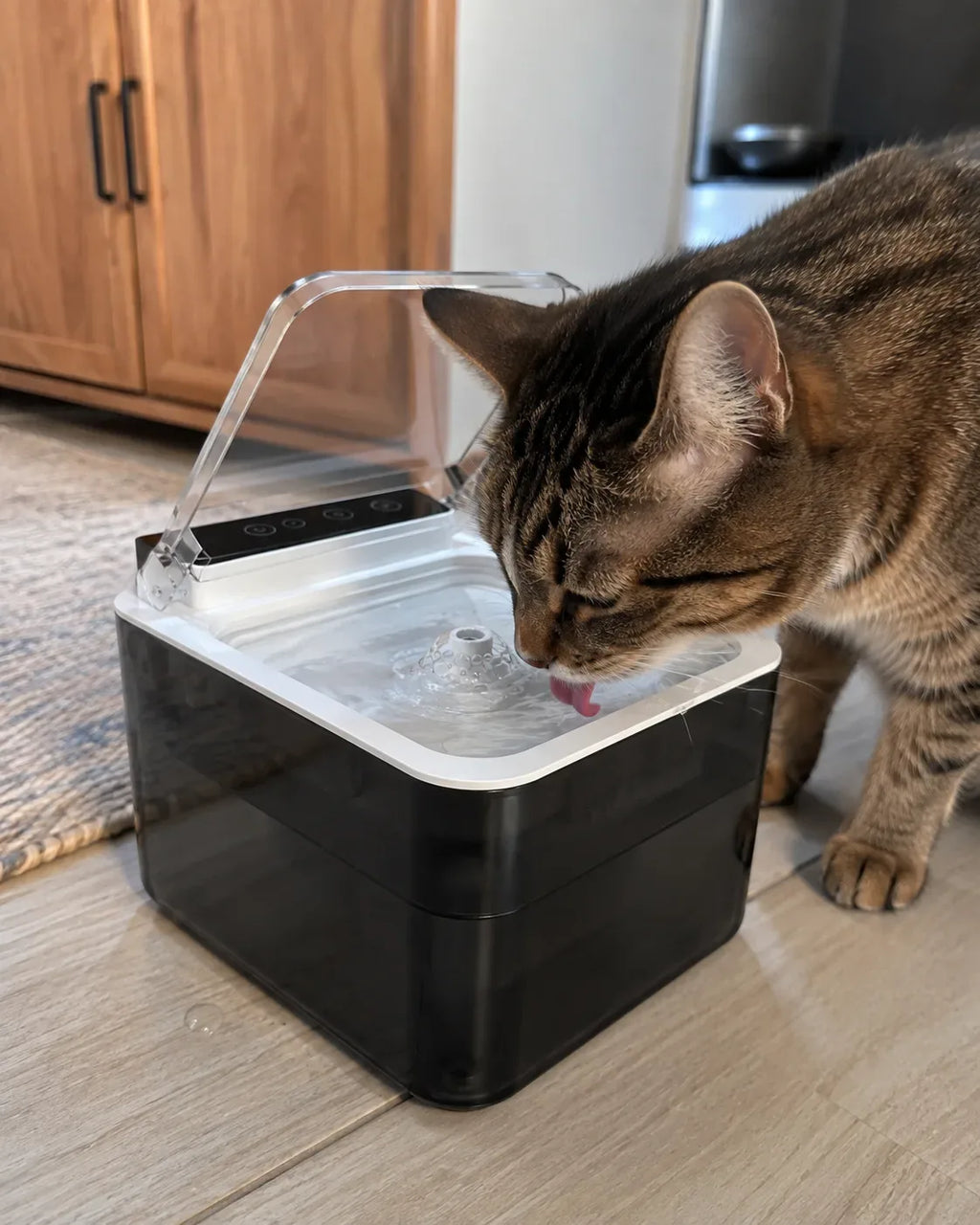 Tabby cat drinking from the Steelspring auto-lid cat water fountain on a kitchen floor