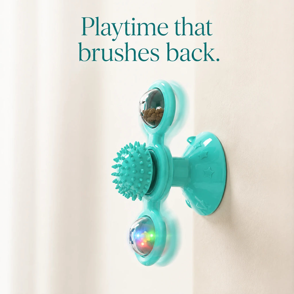 Playtime that brushes back — windmill cat toy spinning on the wall
