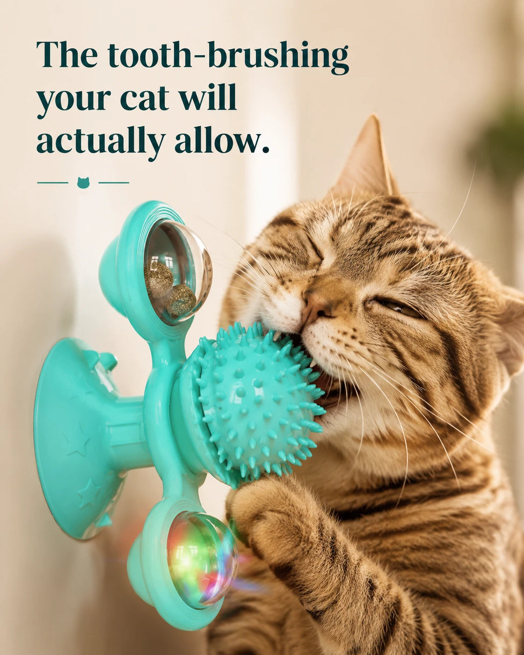 The tooth-brushing your cat will actually allow — cat chewing the spiky brush ball