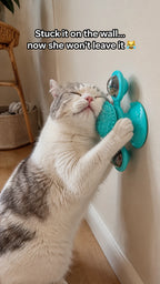Stuck it on the wall and now she won't leave it — happy cat with the windmill toy