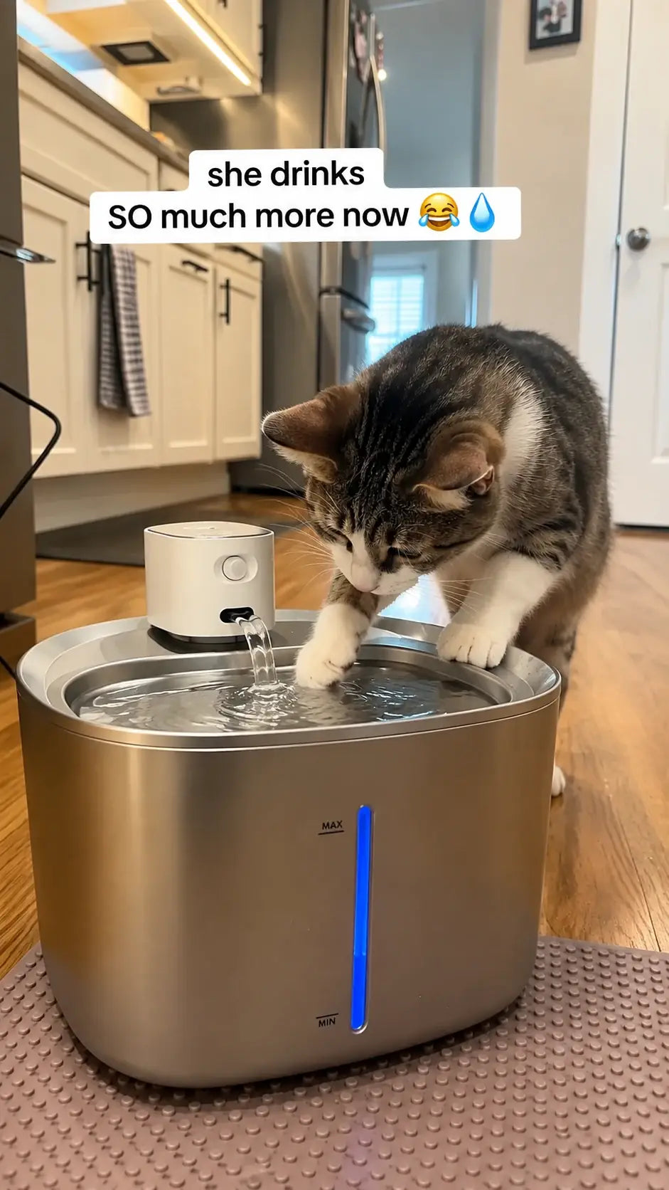 Feeding & Water